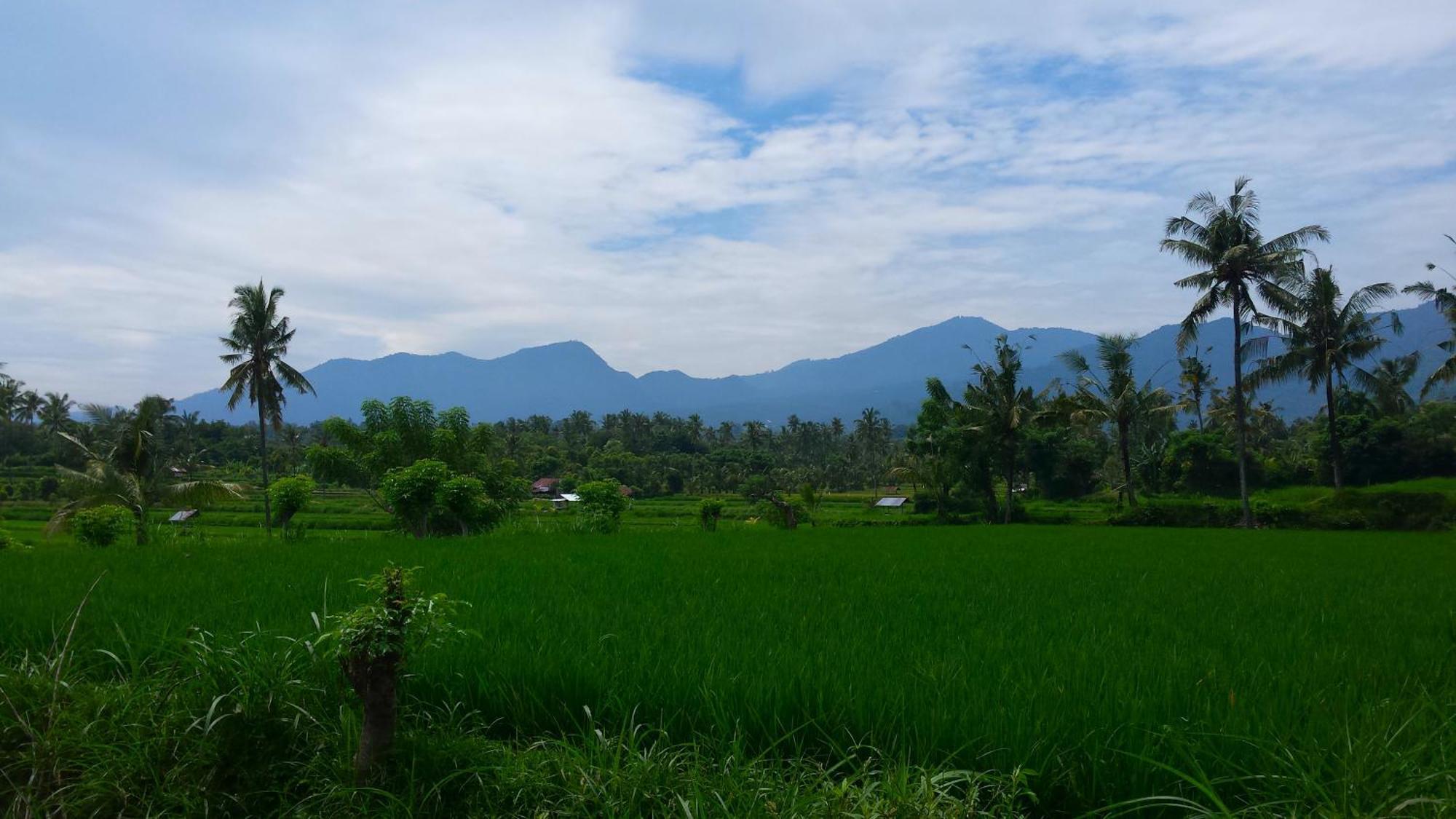 سينغاراجا Pondok Manis المظهر الخارجي الصورة